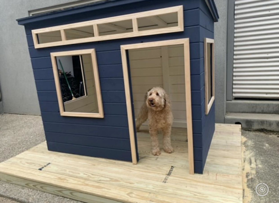 Thumbnail: Dog in Mid Century Playhouse