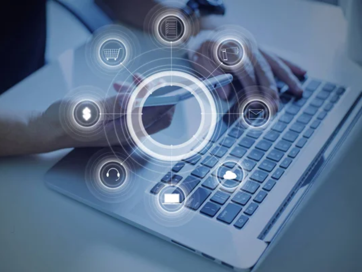 Digital Media/Web Designer