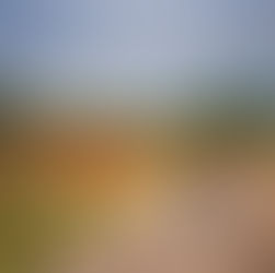 woman on road turning around to look back