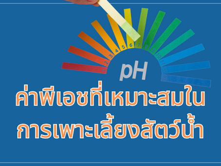 ค่าพีเอชที่เหมาะสมกับการเพาะเลี้ยงสัตว์น้ำ ควรเป็นเท่าไหร่?