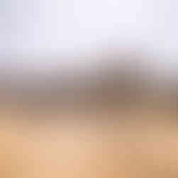teen girl portraits in chisos basin