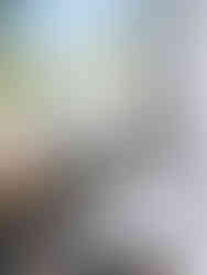 bride standing against white brick wall near the Alex camp house at the Dallas Arboretum and Botanical gardens in Dallas Texas