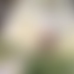 The Complete Senior Portrait Guide for Austin Seniors & Parents