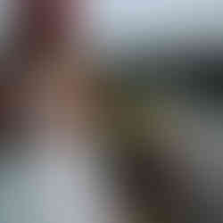 tween girl in white dress looking closely at yellow flowers