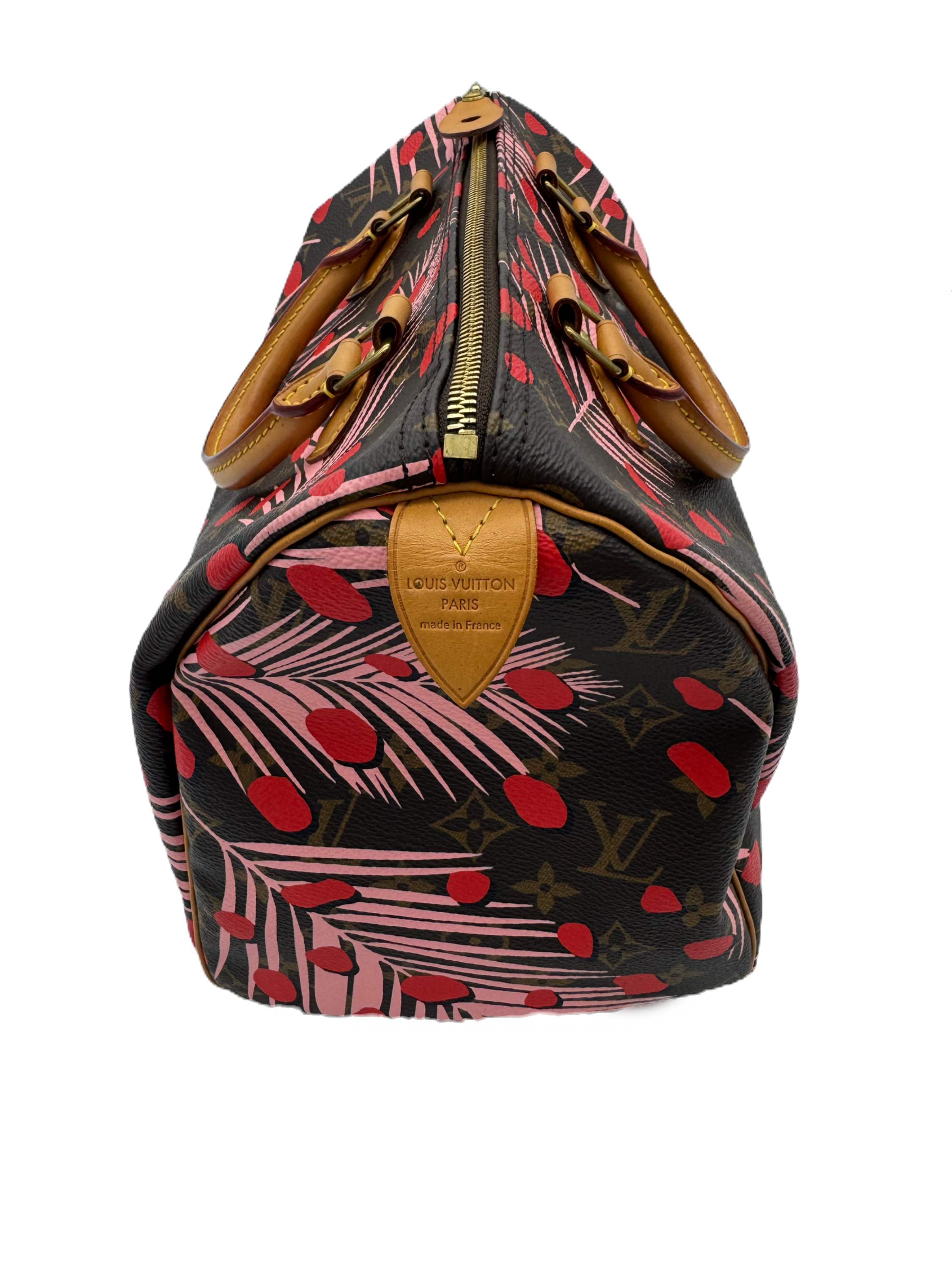 Louis Vuitton x Takashi Murakami Speedy 30   Limited Edition 2016 | Red Spots &