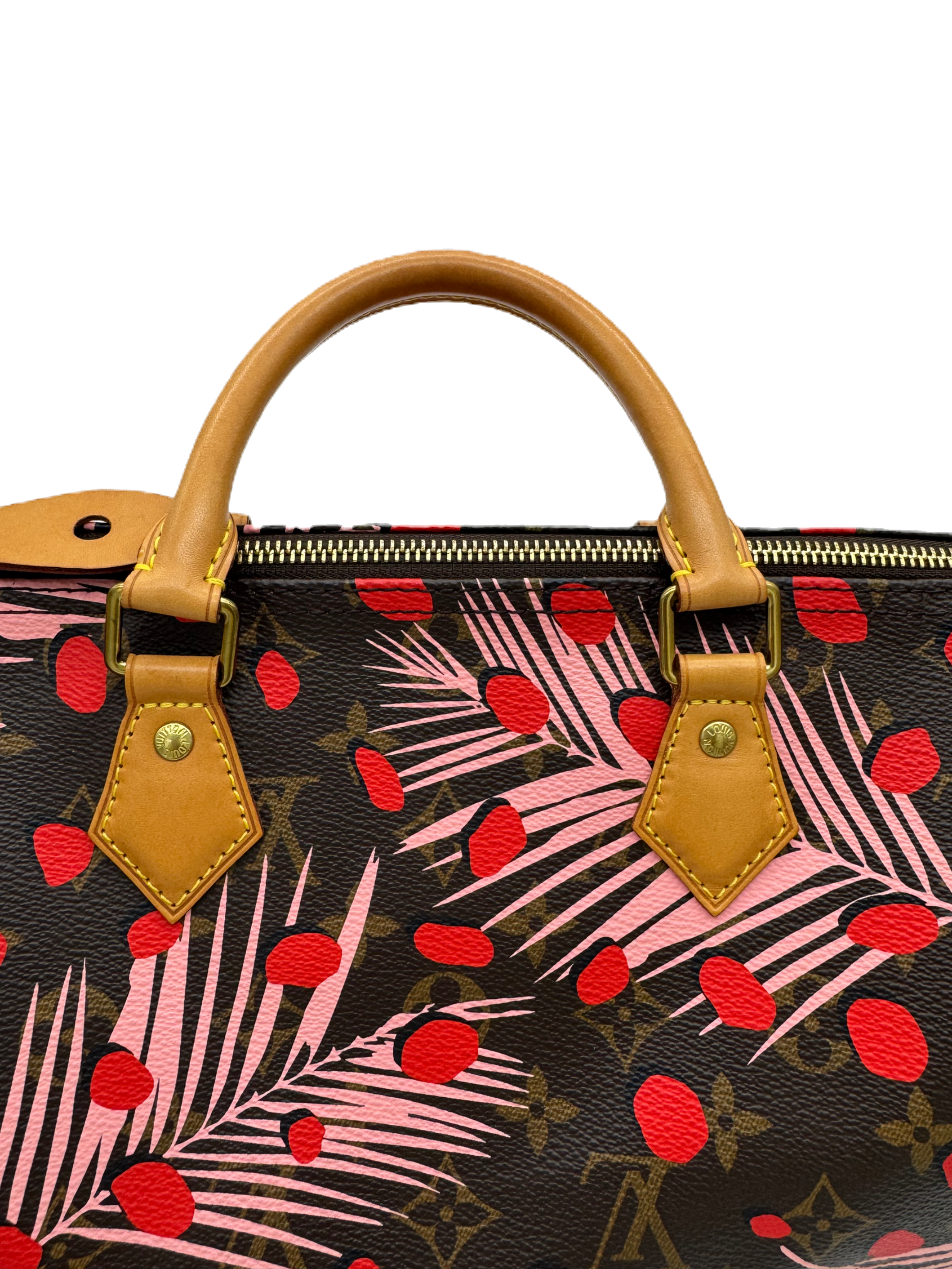 Louis Vuitton x Takashi Murakami Speedy 30   Limited Edition 2016 | Red Spots &