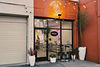 ShakeItUp-Front_edited.jpg