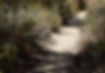 DSC_0011.jpeg