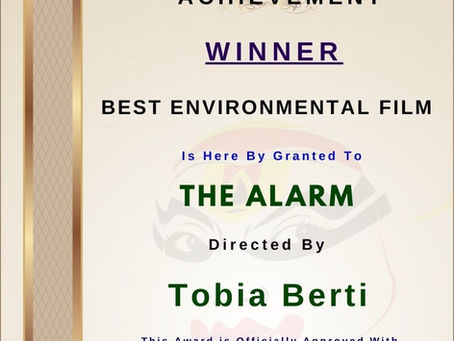 THE ALARM Won A Major award !!!