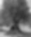 DSC_0433_edited.png