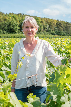 Rose, L'Oreille Pro