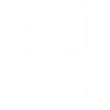 Blocks in your way