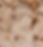 Tezza-8289_edited.jpg
