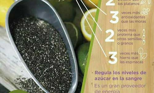 Fit Consejo | CHIA, un SuperAlimento Saludable