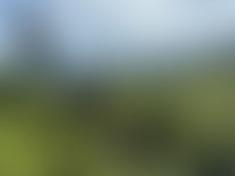 Teeplantagen Boh Cameron Highlands