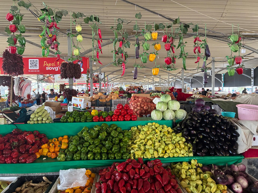 Usbekistan Weltreise Töne und Texte Auf in die Welt! Off into the World!