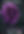 Screen Shot 2022-12-27 at 15.37.36.png