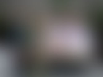 This is the article that LDS Daily published about Dark Past