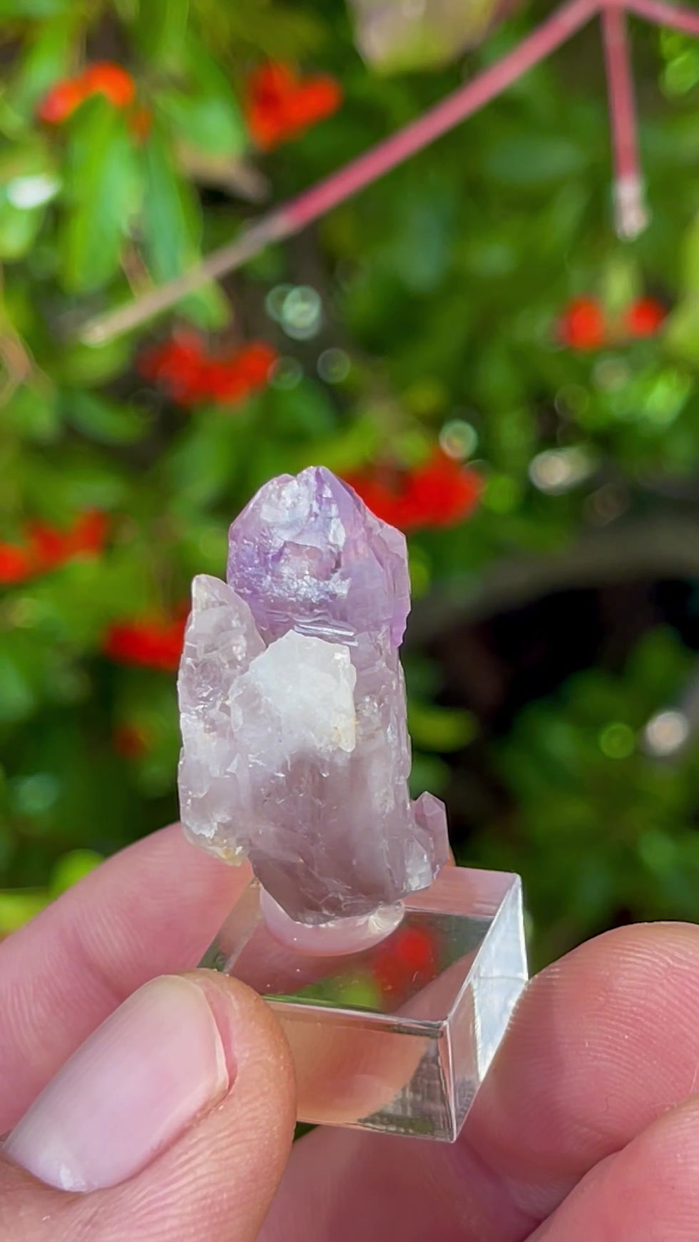 Thumbnail: Amethyst scepter – Mättital, Binntal, Valais, Switzerland