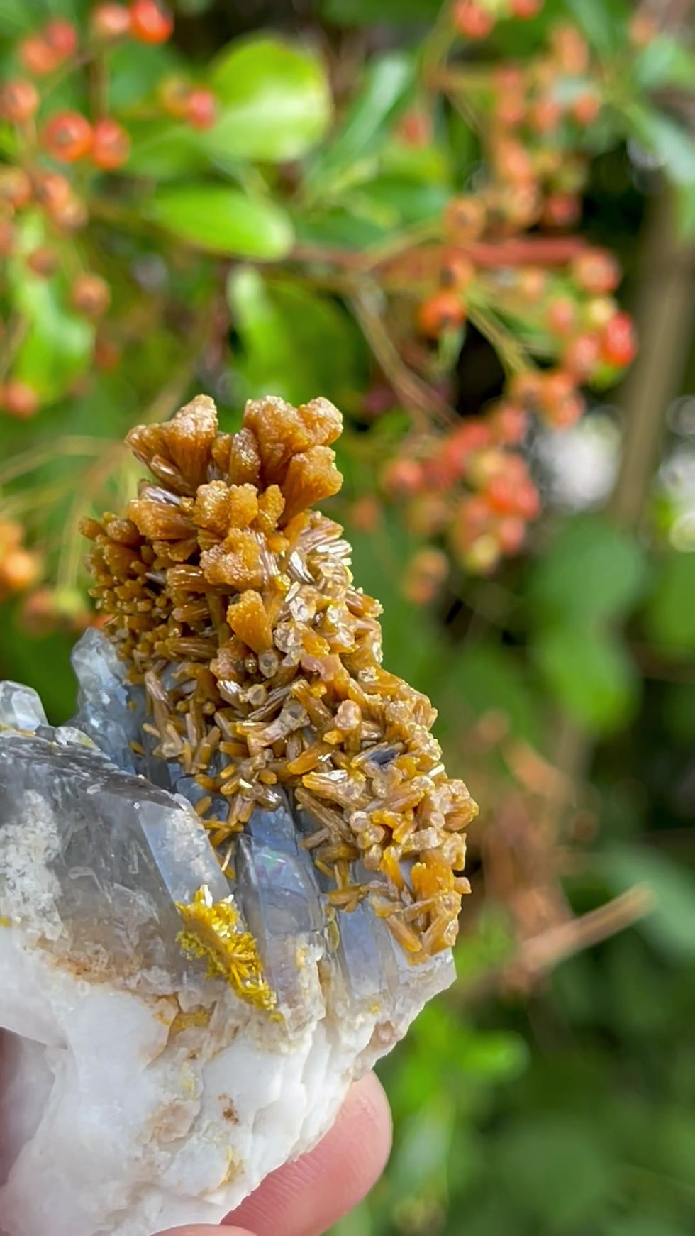 Thumbnail: Pyromorphite on Barite - Mine des Farges, Correze, France