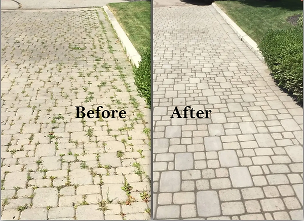 Paver2.png