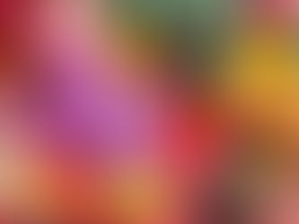 Embracing Change: The Beauty of October’s Transformation