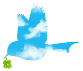 23674492_edited_edited.png