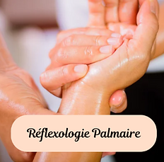 Réflexologie palmaire.png
