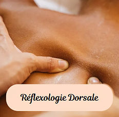 reflexologie vertébrale.png