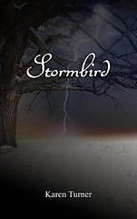 stormbird.jpeg
