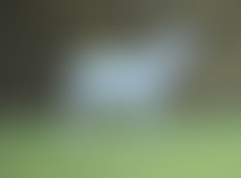 一般見学再開について