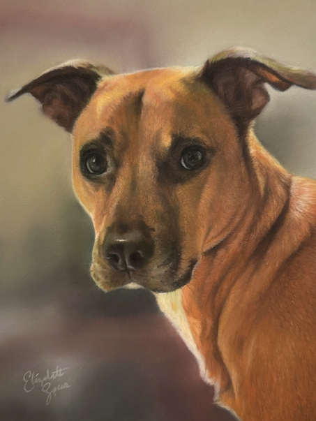 soft pastel pet portrait of a mixed breed dog