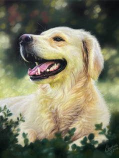 Soft pastel pet painting of a golden retriever yellow lab in a beautiful meadow with greenery