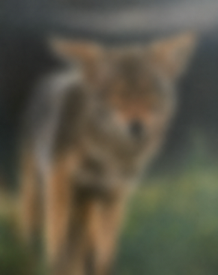 ChatGPT Image Jun 23, 2026, 06_41_25 PM.png