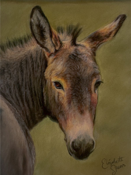 Donkey painting portrait soft pastels with realistic fur detail