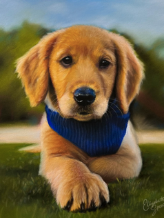 Soft pastel realistic painting of a golden retriever puppy in a field