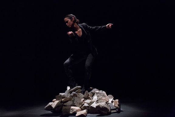 kormorano bratuskaSMALL.jpg