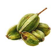 mynameissaif_A_luxury_Sketch_of_cardamom