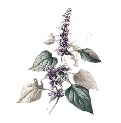 0_0_640_N_edited.png