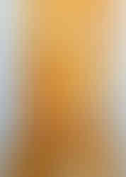 Faux marbre & moulures