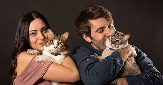 gatti ritratto milano cat photography