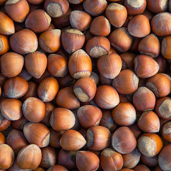 inshell-hazelnut.jpeg