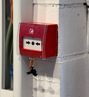 Foto 4-11-2024, 13 51 22_edited.jpg