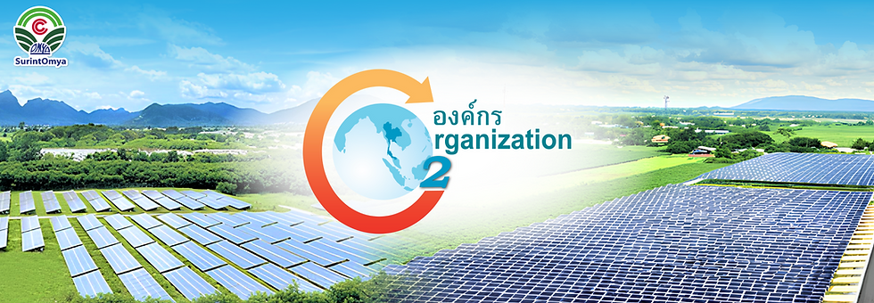 Certificate: Carbon Footprint for Organization (CFO)