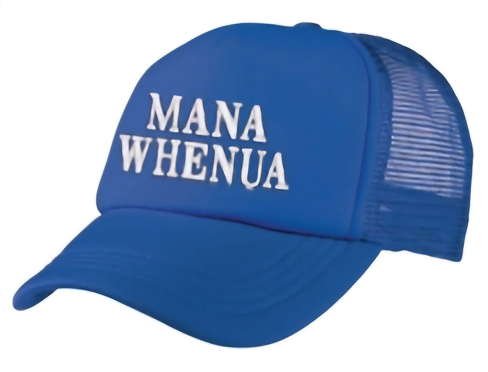 Thumbnail: Mana Whenua Trucker Cap