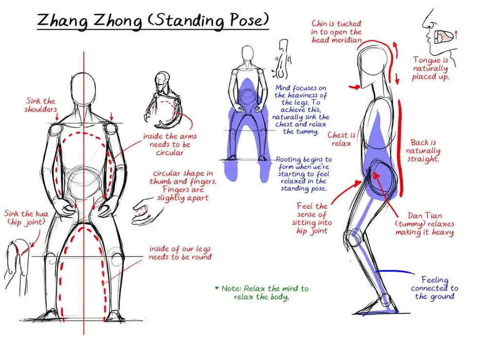 standing qi gong instructor online
