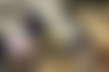 Inspect First, Stay Safe!