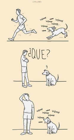 Woof