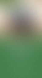 Mady Organic & Natural Food Store