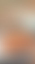 Happy Moon Cake Festival